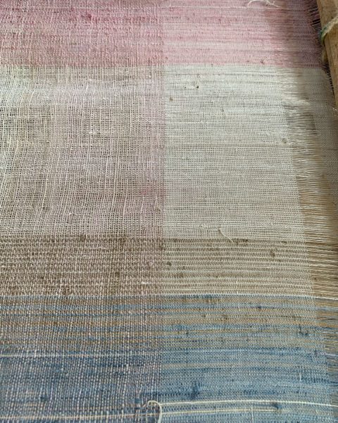 Cotton candy Saree - Image 3