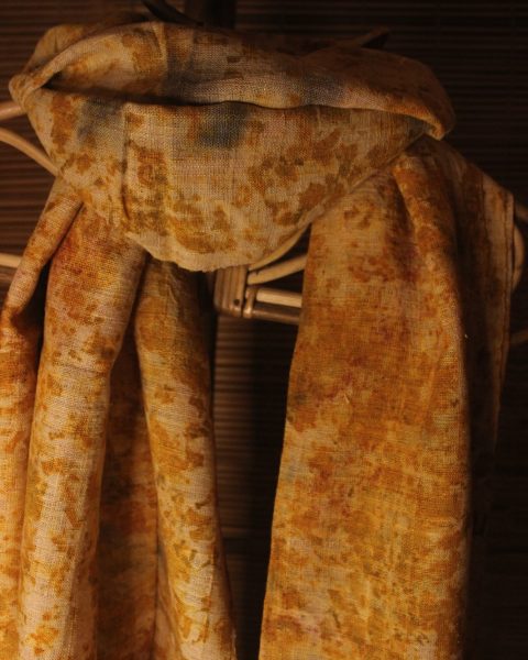 Marigold - Image 2