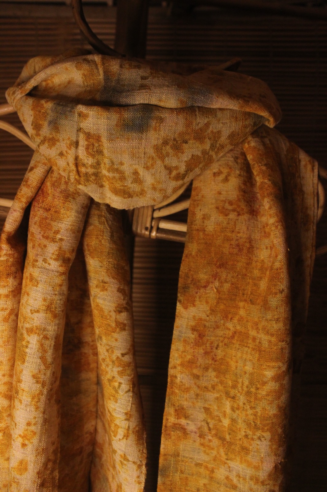 Marigold - Image 2