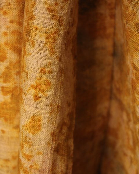 Marigold - Image 4