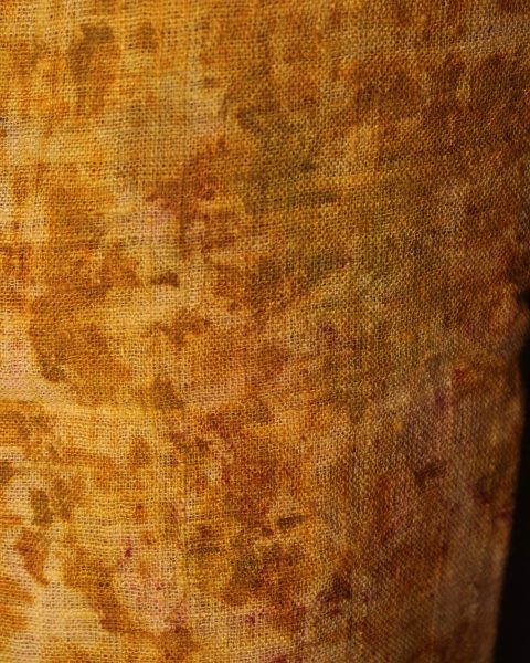 Marigold - Image 5