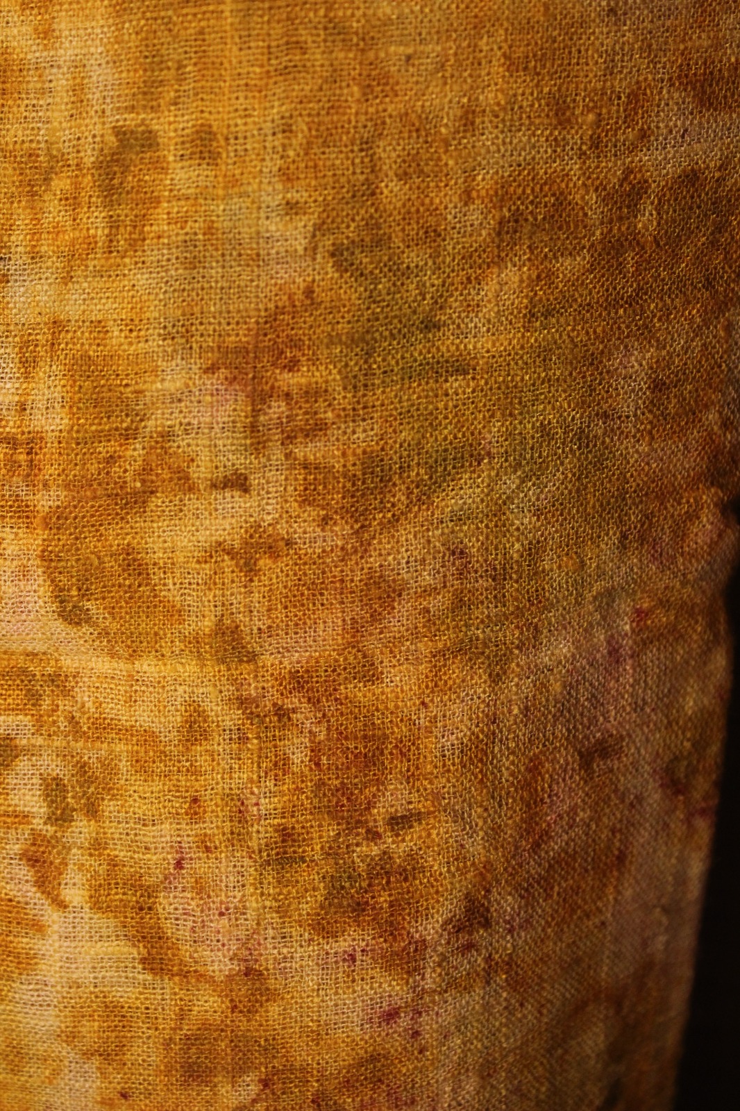 Marigold - Image 5